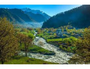Hotel Top Hill, Srinagar